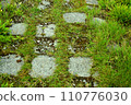 Amber stone 110776030