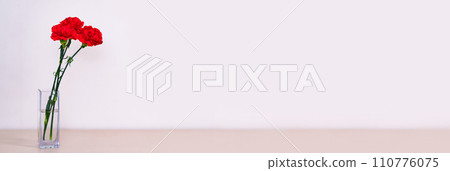 一朵鮮紅的康乃馨花【母親節形象】 110776075