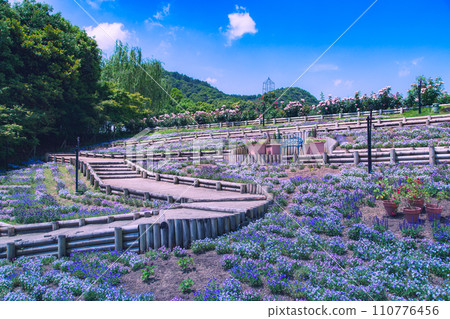 Reoma World Rose Festival, the largest in Chugoku and Shikoku 110776456