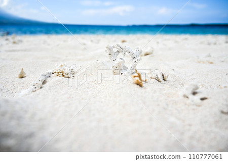 [Indonesia] Heart-shaped coral and sandy beach 110777061