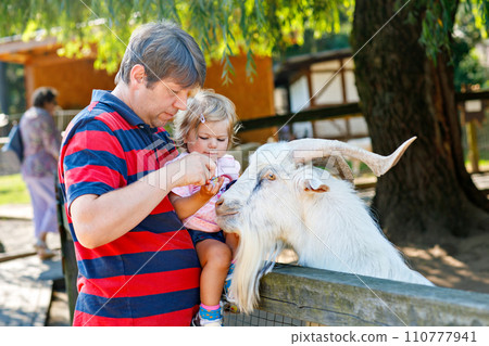 Adorable cute toddler girl and young father feeding little goats and sheeps on a kids farm. Beautiful baby child petting animals in petting zoo. man and daughter together on family weekend vacations. 110777941