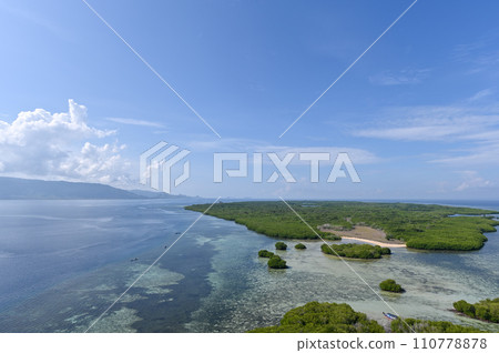 [Indonesia] Sea, mangroves and islands 110778878