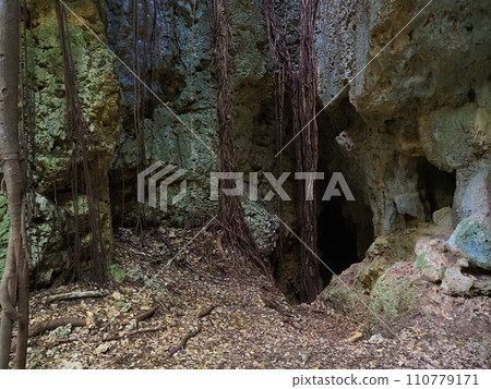 Entrance to the inner cave of Ndokubiab (Okinawa Prefecture, Miyakojima City, Irabu) 110779171