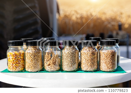 Different kinds of cereal crops seed grain in glass jar row at agricultural expo exhibition. Harvester machine tractor on background. Sowing material sample biotechnology test analysis Different kinds of cereal crops seed grain in glass jar row at agricultural expo exhibition. Harvester machine tractor on background. Sowing material sample biotechnology test analysis 110779823