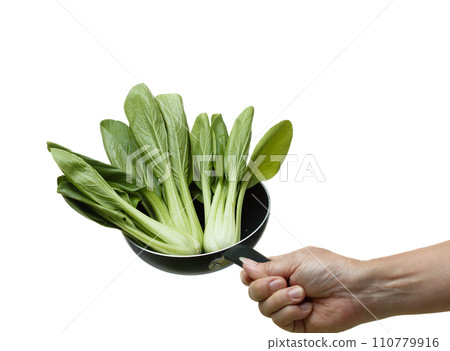 Kale fly in mid air, green fresh vegetable chinese kale falling. Organic fresh vegetable with eaten leaf of chinese kale, heap close up texture. White background isolated freeze motion Kale fly in mid air, green fresh vegetable chinese kale falling. Organic fresh vegetable with eaten leaf of chinese kale, heap close up texture. White background isolated freeze motion 110779916