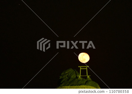 Imachizuki and Meotoiwa 110780358