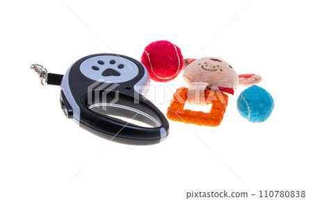 dog toys isolated 110780838