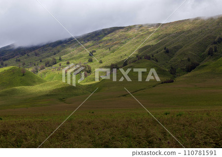 Landscape of green hills in the mountains on a cloudy day. Location of Mount Bromo in Bromo Tengger Semeru National Park, East Java, Indonesia Landscape of green hills in the mountains on a cloudy day. Location of Mount Bromo in Bromo Tengger Semeru National Park, East Java, Indonesia 110781591
