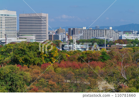 Osaka Castle in Autumn From the remains of the Honmaru Gusakata Observation Tower to the Osaka Castle Plum Grove November 9, 2023 Osaka Castle in Autumn From the remains of the Honmaru Gusakata Observation Tower to the Osaka Castle Plum Grove November 9, 2023 110781660