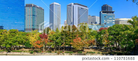 Osaka Castle in autumn Autumn leaves and Osaka Business Park from above the stone wall of the outer moat November 7, 2023 110781688