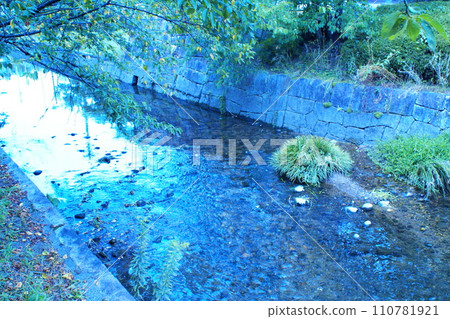 彩色流水河透明(2024年1月註冊) 彩色流水河透明(2024年1月註冊) 110781921