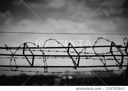 Barbed wire crime prevention measures Barbed wire crime prevention measures 110782641