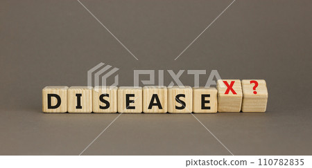 Disease X after covid symbol. Turned cubes and changed the word Disease to Disease X. Beautiful grey table grey background. Medical, Disease X after covid concept. Copy space. Disease X after covid symbol. Turned cubes and changed the word Disease to Disease X. Beautiful grey table grey background. Medical, Disease X after covid concept. Copy space. 110782835