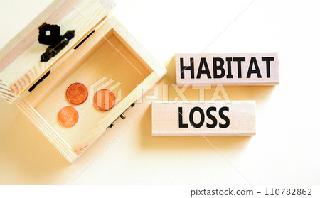 Habitat loss symbol. Concept words Habitat loss on wooden block. Beautiful white table white background. Beautiful wooden chest with coins. Business habitat loss concept. Copy space. Habitat loss symbol. Concept words Habitat loss on wooden block. Beautiful white table white background. Beautiful wooden chest with coins. Business habitat loss concept. Copy space. 110782862