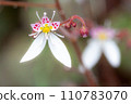 Yukinoshita 003 110783070