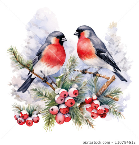 Christmas Bullfinches watercolor in hand drawn style. Vector illustration design element. Christmas Bullfinches watercolor in hand drawn style. Vector illustration design element. 110784612