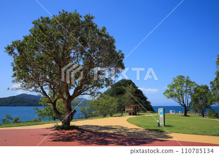 高知縣宿毛市宿毛道之驛Sunnyside Park風景 110785134