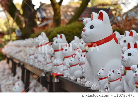 Gotokuji Temple's Lucky Cat Tokyo Gotokuji Temple's Lucky Cat Tokyo 110785473