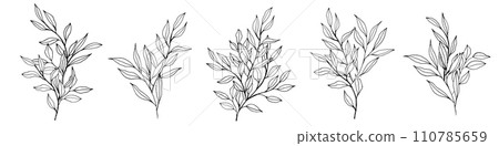 vector contour branch and leaves compositions. Elegant branches for decoration. hand drawing monochrome botanical illustration for backgrounds. Template for wedding cards and polygraph, logo, tattoo 110785659
