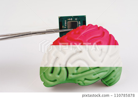 On a white background, a model of the brain with a picture of a flag - Hungary, a microcircuit, a processor, is implanted into it. 110785878