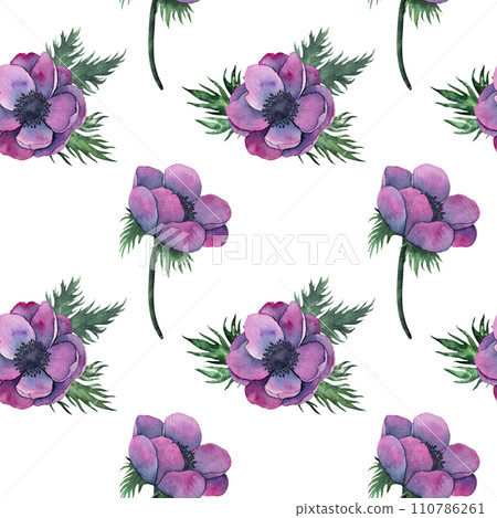 anemone flowers bouquet in Bright purple colors. Hand drawn Watercolor floral illustration isolated on on white. Botanical art for wedding anniversary, birthday, invitations anemone flowers bouquet in Bright purple colors. Hand drawn Watercolor floral illustration isolated on on white. Botanical art for wedding anniversary, birthday, invitations 110786261