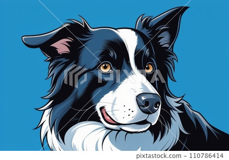 border collie dog portrait in front of a blue background 110786414