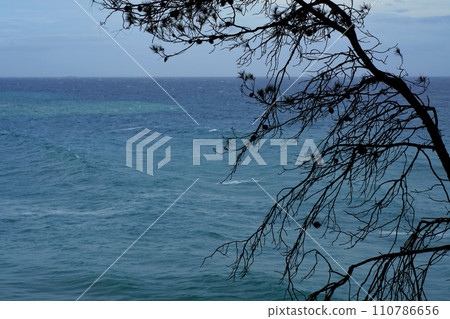 Top view over the sea beach. Beautiful sea waves. Sandy beach and stunning sea. Summer sunset seascape. Lloret de Mar beach. Spain. Beaches of the Costa Brava. Water texture. Sea and dry tree branches Top view over the sea beach. Beautiful sea waves. Sandy beach and stunning sea. Summer sunset seascape. Lloret de Mar beach. Spain. Beaches of the Costa Brava. Water texture. Sea and dry tree branches 110786656