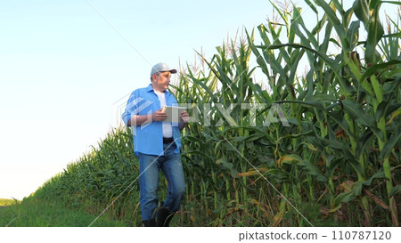 farmer working digital tablet, corn field, modern agro farm, businessman engaged growing corn, agriculture, farmer agronomist with digital tablet hand, man walking along dirt road checking crop farmer working digital tablet, corn field, modern agro farm, businessman engaged growing corn, agriculture, farmer agronomist with digital tablet hand, man walking along dirt road checking crop 110787120