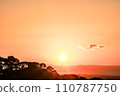 Sunset seen from Enoshima 110787750