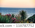 sunset over the sea and flowers 110787752