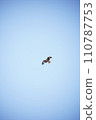 A kite flying in the blue sky 110787753