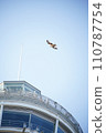 Birds flying over Enoshima 110787754