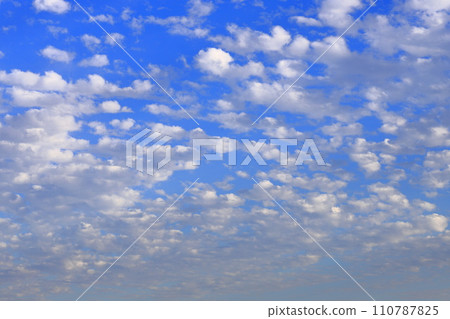 Altocumulus clouds (sheep clouds) illuminated by the setting sun 110787825