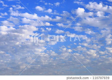 高積雲(羊雲)在藍天蔓延 高積雲(羊雲)在藍天蔓延 110787839