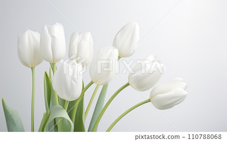 AI-generated content. White tulips isolated on a white background. 110788068