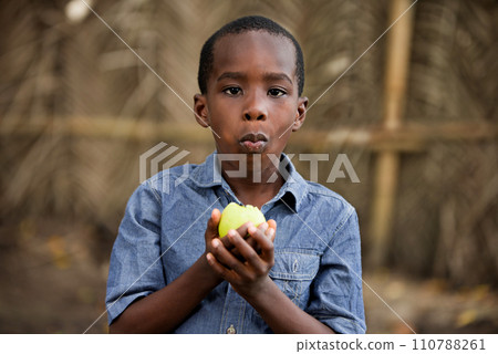 little boy eating an apple 110788261