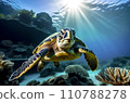 Sea turtle with a group of colorful corals underwater in the ocean, underwater world in the ocean. 110788278