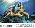Green sea turtle swimming underwater with sunrays and corals in background 110788281