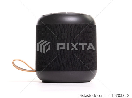 Black portable bluetooth speaker, isolated on white 110788820