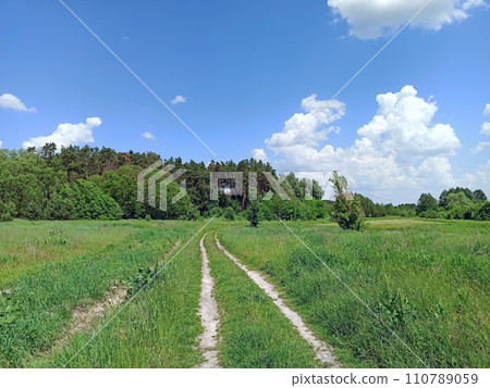 Country sandy road with field of sunflowers and green grass on roadsides. Summer landscape 110789059