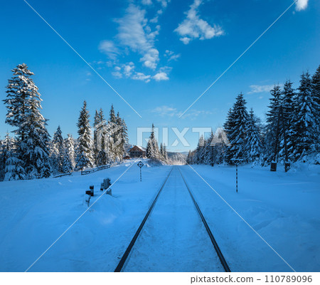 Railway through snowy fir forest and remote alpine helmet in Carpathian mountains, snow drifts  on wayside 110789096