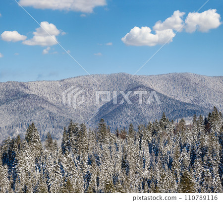 Winter alpine hills with fir and pine forest view from mountain village. Picturesque traveling, hiking, seasonal, nature and countryside beauty concept background scene. Winter alpine hills with fir and pine forest view from mountain village. Picturesque traveling, hiking, seasonal, nature and countryside beauty concept background scene. 110789116