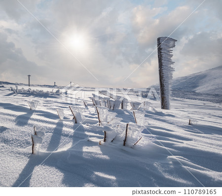 Snow covered pointer and bushes near path on snowy mountain plateau and sunshine in sky. Magnificent sunny day on picturesque beautiful alps ridge. 110789165