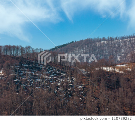 Early spring Carpathian mountains Early spring Carpathian mountains 110789282