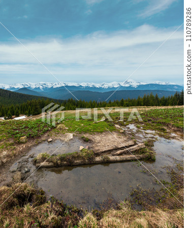 Spring Carpathian mountains 110789286