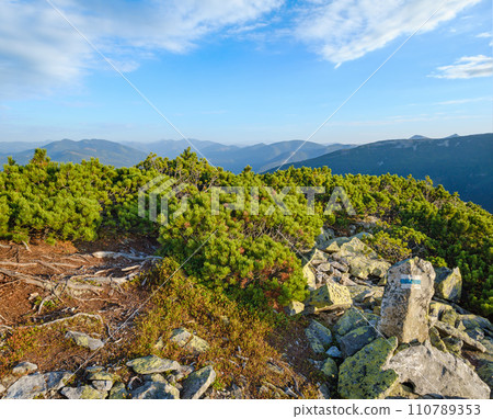 Summer Carpathian mountains evening view. Stony Gorgany massif, Ukraine. 110789353