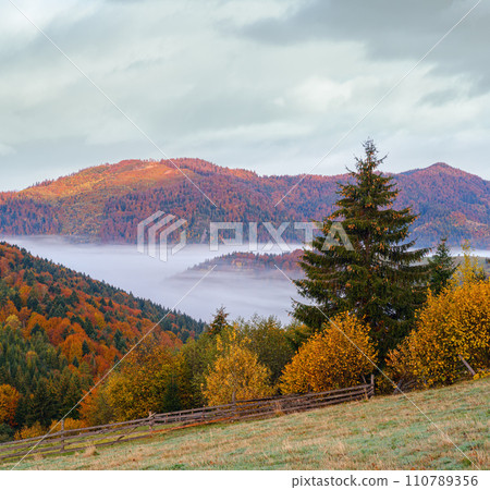 Cloudy and foggy autumn mountain early morning pre sunrise scene. Ukraine, Carpathian Mountains, Transcarpathia. 110789356