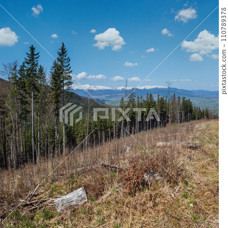 Spring Carpathian mountains view, Ukraine. Spring Carpathian mountains view, Ukraine. 110789378