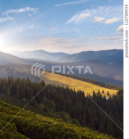 Summer Carpathian mountain, Ukraine 110789434