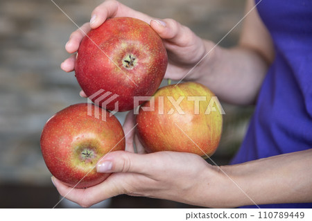 Woman holding whole apples close-up. A quick snack in the form of an apple. Woman holding whole apples close-up. A quick snack in the form of an apple. 110789449